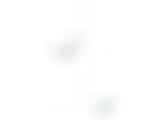 The Timing of the Problem, blurred preview